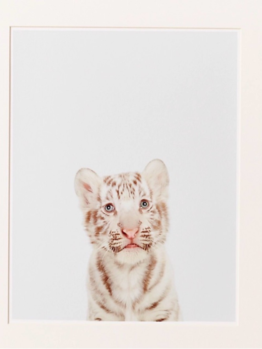 Baby Animal Tiger Cub Print - Neutral Tones